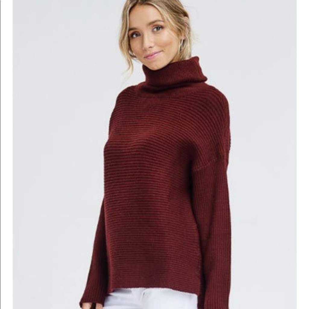 Turtle Neck Pullover Top